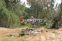 /album/galeria-de-fotos-motos/hs0264-jpg/