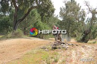 /album/galeria-de-fotos-motos/hs0274-jpg/