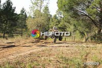 /album/cou%c3%a7o-challenge-2013-quads/hs0609-jpg/