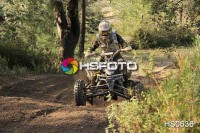 /album/cou%c3%a7o-challenge-2013-quads/hs0636-jpg/