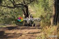 /album/cou%c3%a7o-challenge-2013-quads/hs0640-jpg/