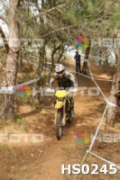 /album/btt-norte-alentejano-2014-avis/hs0245-jpg1/