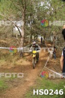 /album/btt-norte-alentejano-2014-avis/hs0246-jpg1/