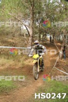 /album/btt-norte-alentejano-2014-avis/hs0247-jpg1/